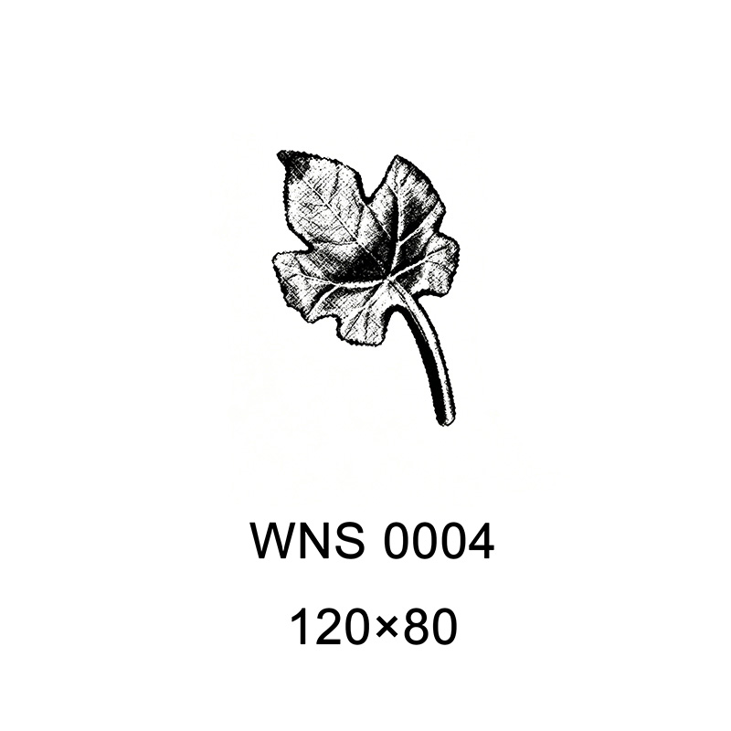 metals ornamental accessories - steel WNS 0004